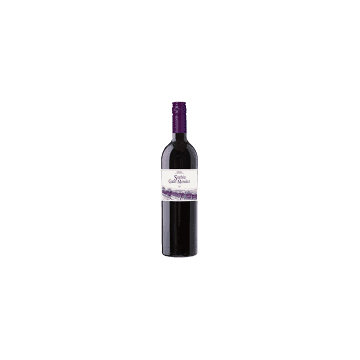 Sophia Galo-Mendez Rioja